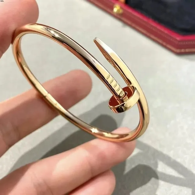Cartier Juste Un Clou Bracelet Small Model