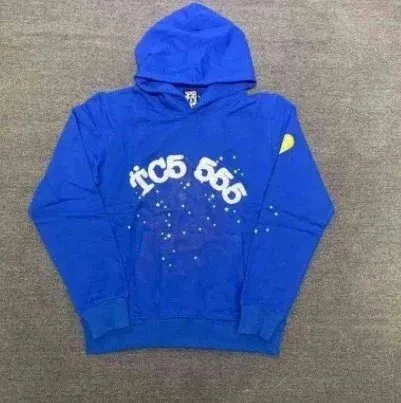 Sp5der Hoodie TC5 666 Graphic