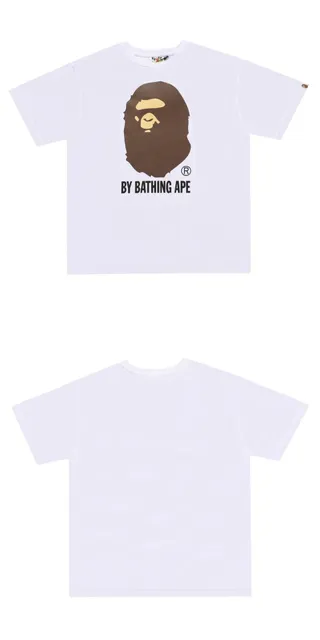 20白色 大宗头