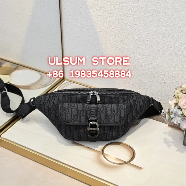 Dior Belt Bag Oblique Monogram