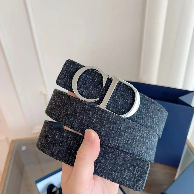 Dior CD Belt Oblique Logo Canvas