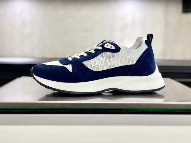 Dior B22 Oblique Print