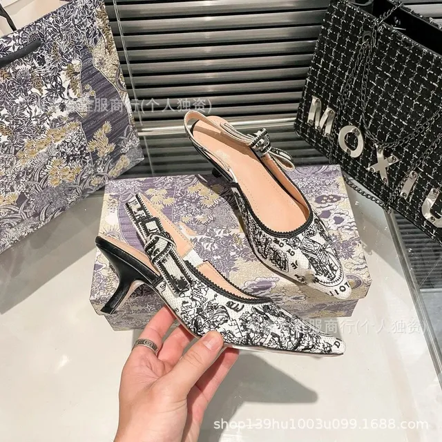 Dior B22 Slingback Printed Canvas