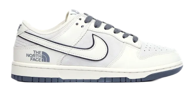 Nike Dunk Low The North Face