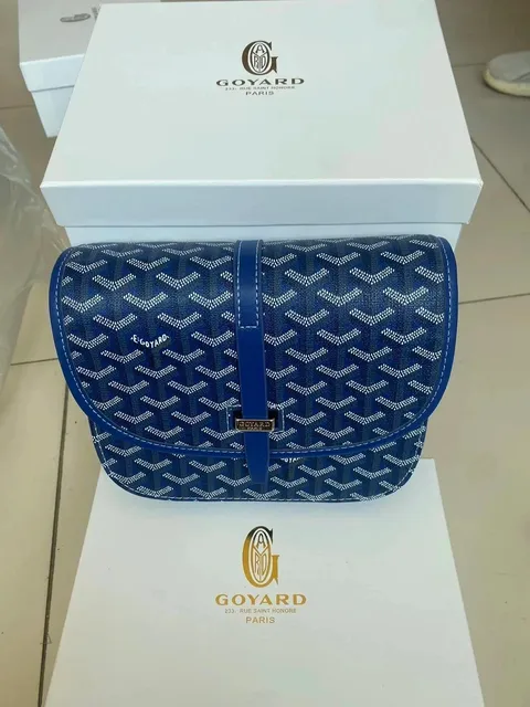 Goyard Saint Louis Chevron Canvas