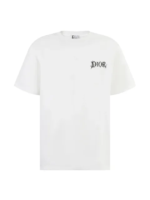 Dior T-Shirt Distressed Logo