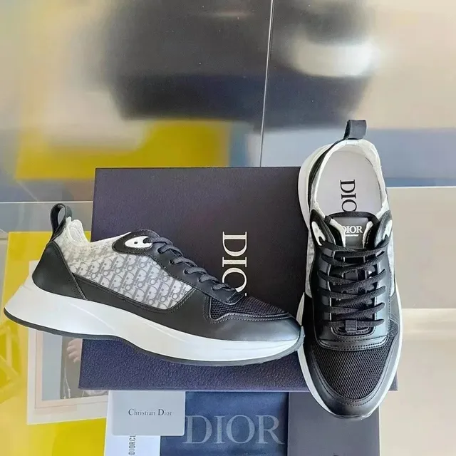 Dior B23 Low Oblique Print
