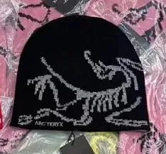 Beanie Arc'teryx Logo