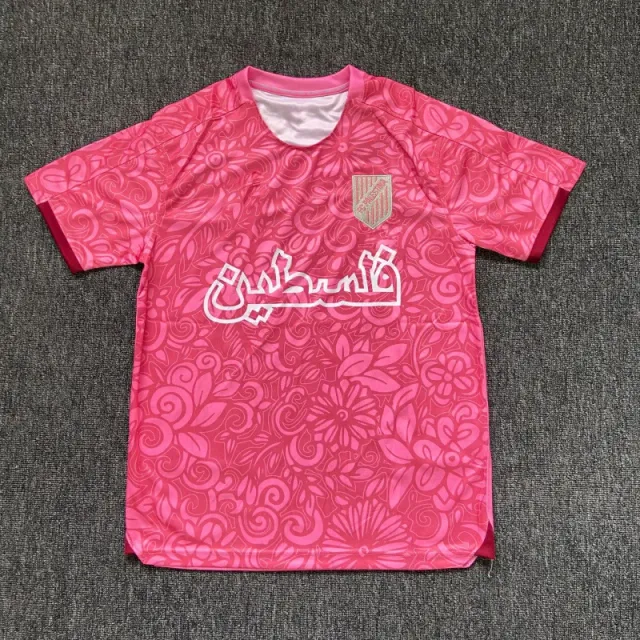 巴勒斯坦3