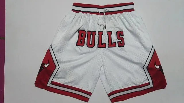 NBA Bulls Mesh Shorts Team Logo