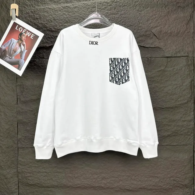 Dior hoodies sweatshirts