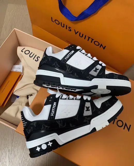 Louis Vuitton LV Trainer Monogram Canvas