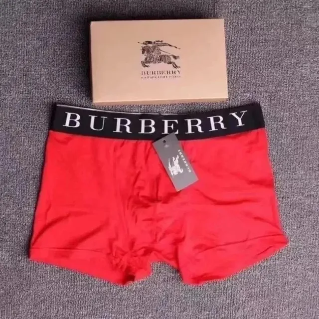 Burberry Boxer Brief Logo Waistband