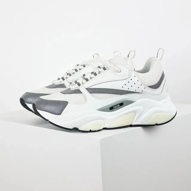 Dior B23 Low White Grey