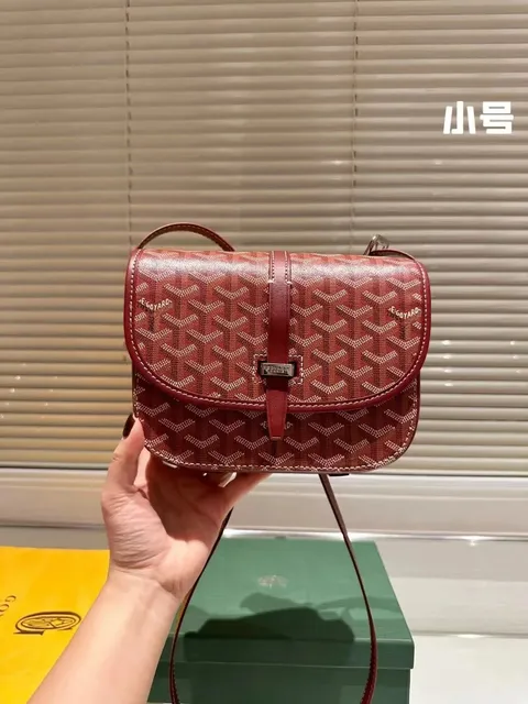 Goyard Saint Louis Chevron Canvas