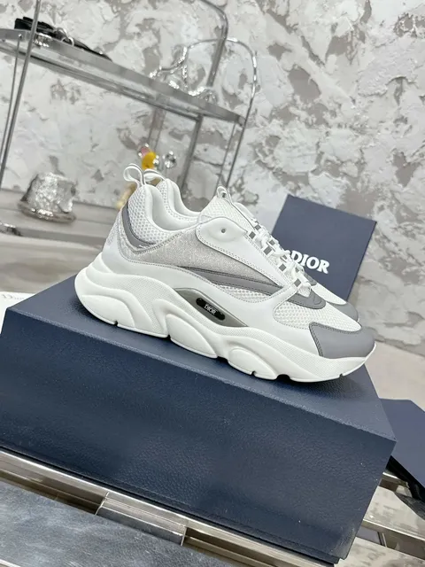 Dior B22 White Grey