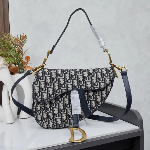 Dior Saddle Bag Oblique Canvas