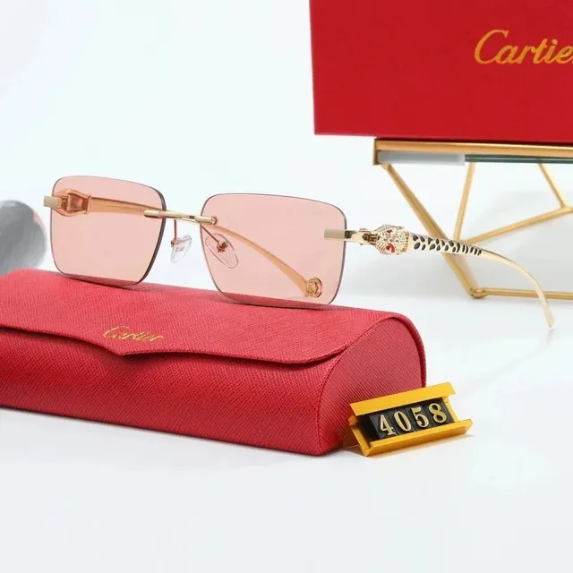 Cartier Sunglasses Panthère Temple Detail