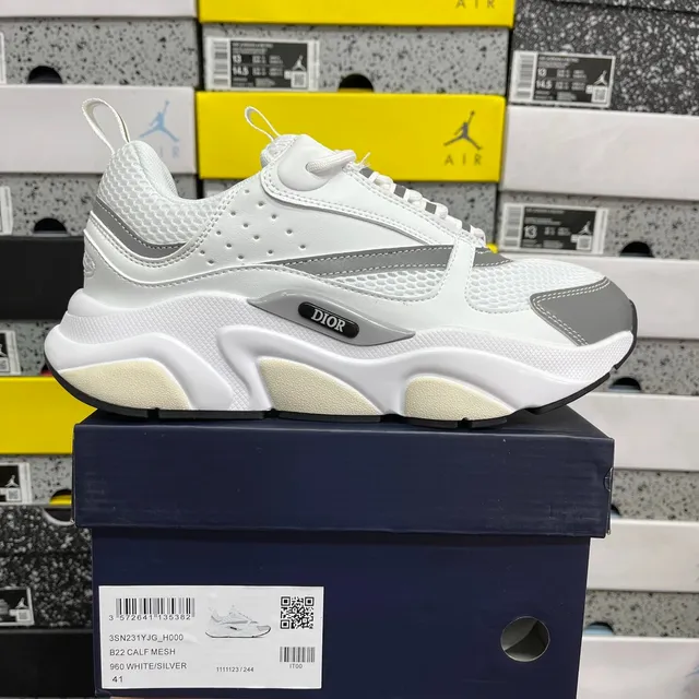Dior B22 Calf Mesh White/Silver