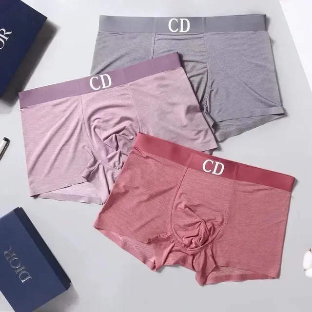 Dior Boxer Briefs CD Logo Waistband