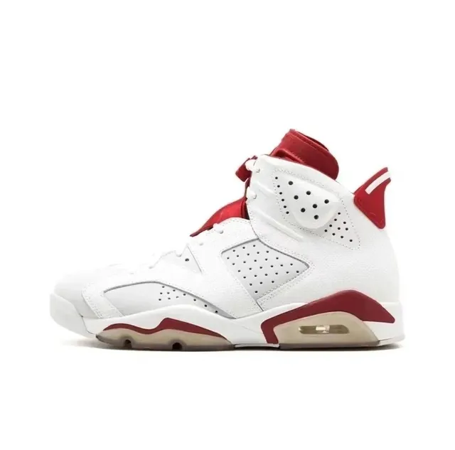 Air Jordan 6