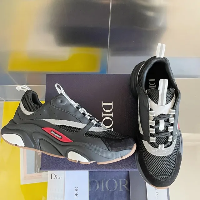 Dior sneakers