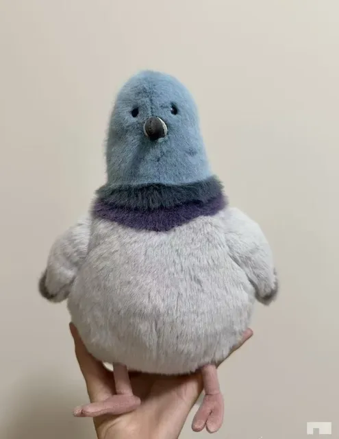 New York Grey Pigeon