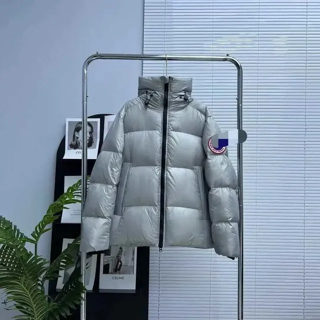 Canada Goose Puffer Jacket Metallic Silver