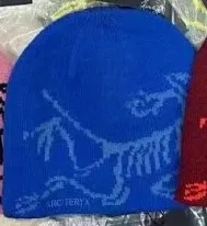 Arc'teryx Beanie Dinosaur Print