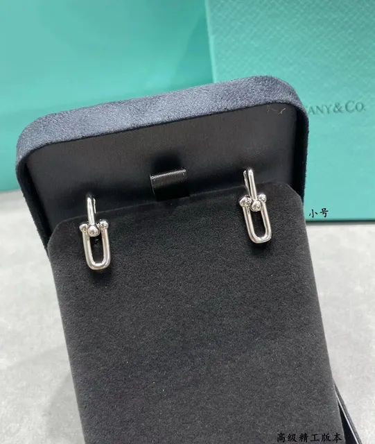 Tiffany & Co. HardWear Hoop Earrings Small