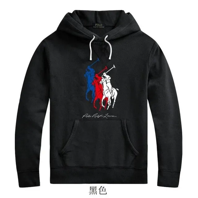 Polo Ralph Lauren Hoodie Big Pony Tri-Color
