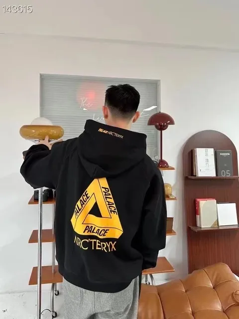 Palace × Arc'teryx Hoodie Arcteryx Triangle Logo