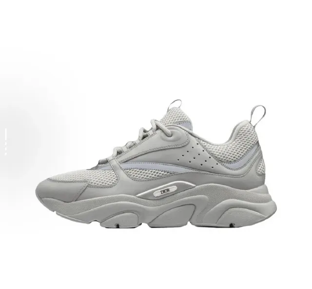 Dior B22 Monochrome Grey