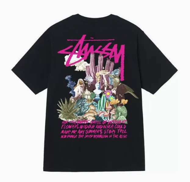 Stüssy t shirts