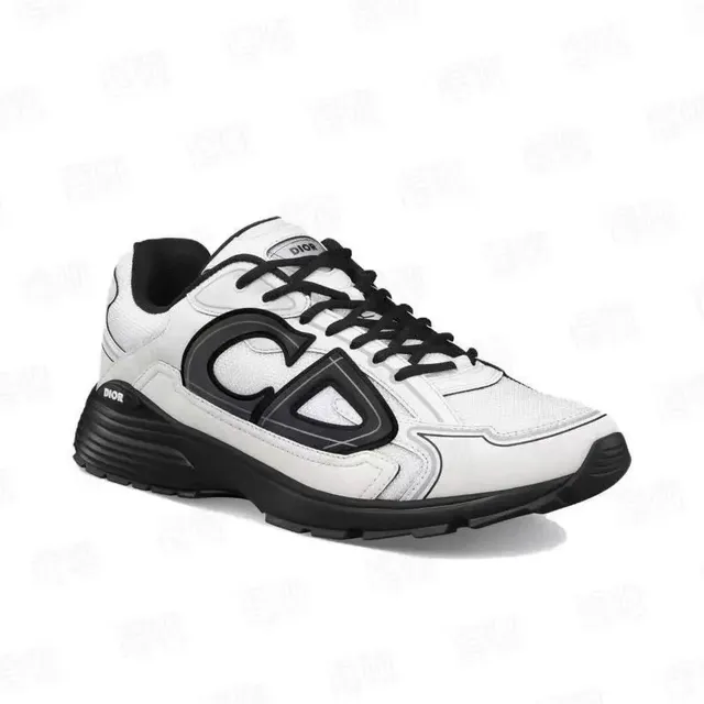 Dior B22 White Black
