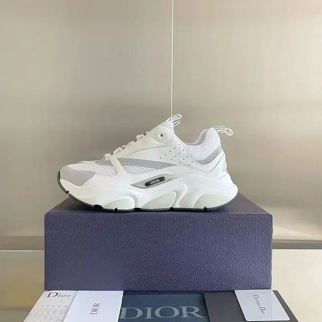 Dior B22 White Grey