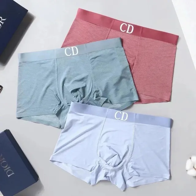 Dior Boxer Brief CD Logo Waistband