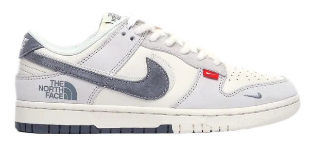 Nike × The North Face sneakers