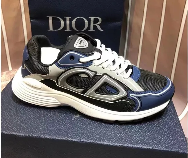 Dior B22 Navy Grey