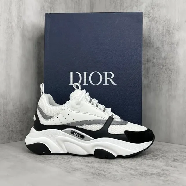 Dior B22 White Black Grey