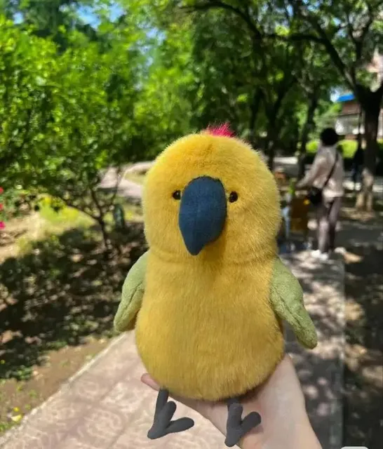 巴几比 鹦鹉