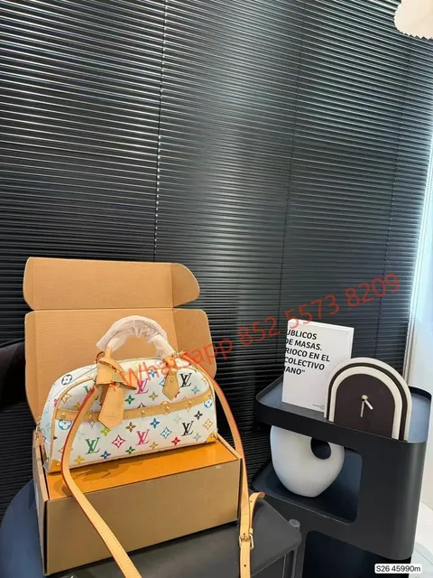 Louis Vuitton Speedy 25 Multicolor Monogram