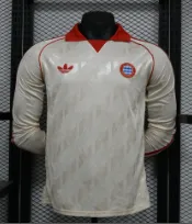2024 Player Bayern München 拜仁2024系列长袖