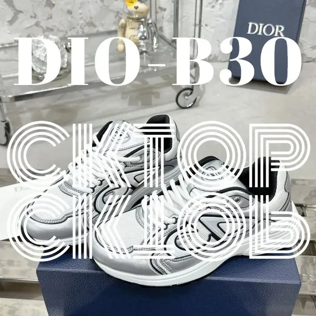 Dior B30 Silver Grey