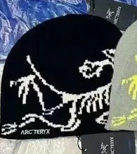 Arc'teryx Beanie Dinosaur Knit