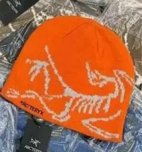 Arc'teryx Beanie Dinosaur Skeleton