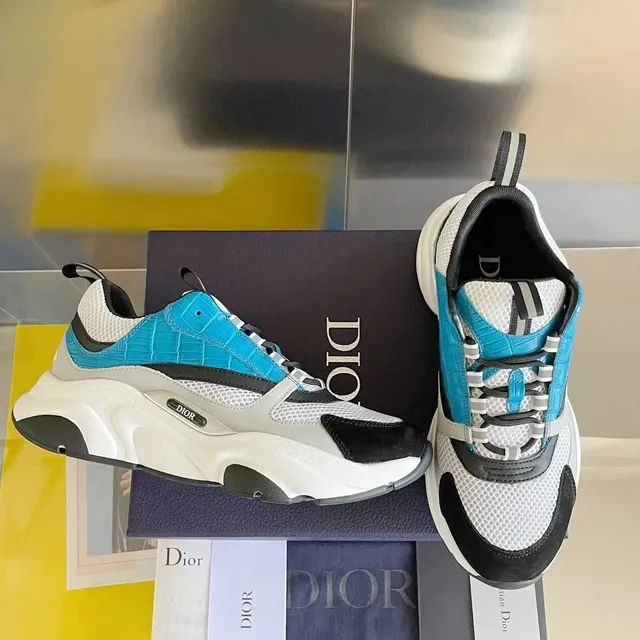Dior sneakers