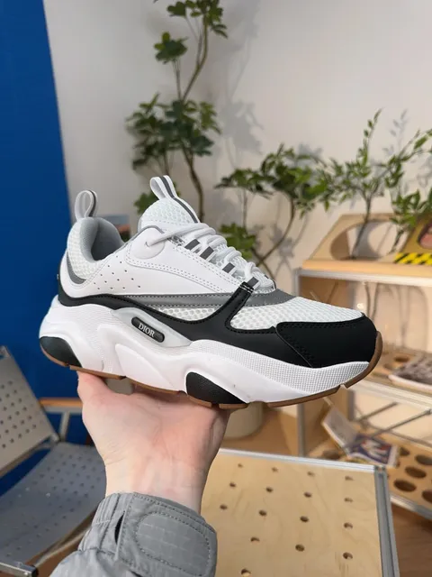 Dior B22 White Black Grey