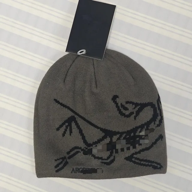 Beanie Arc'teryx Logo