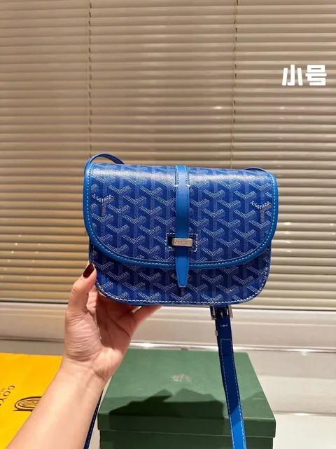 Goyard Saint Louis Monogram Canvas